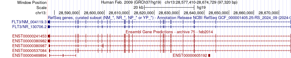 gene isoform structure of FLT3