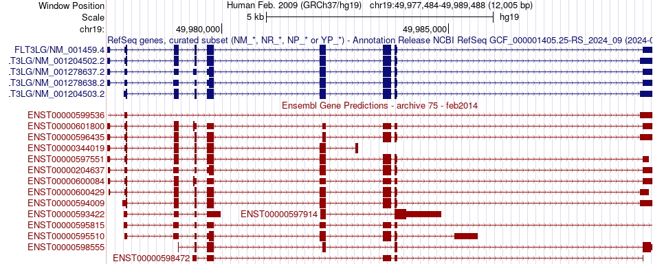 gene isoform structure of FLT3LG