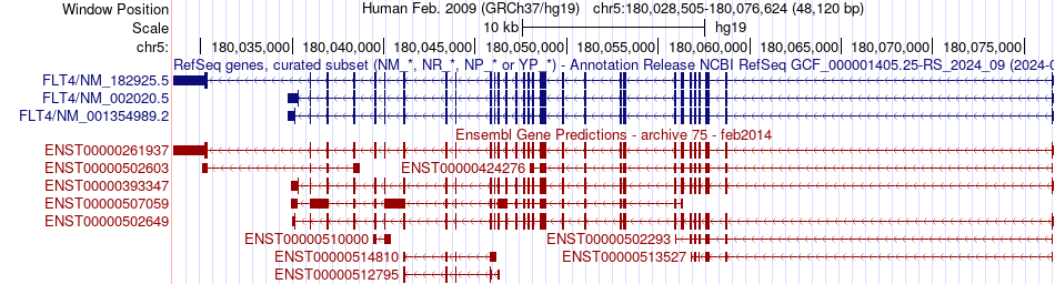 gene isoform structure of FLT4