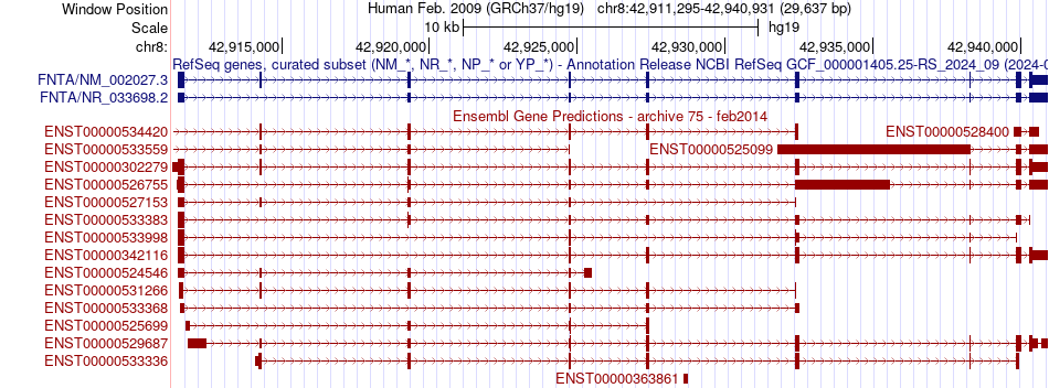 gene isoform structure of FNTA
