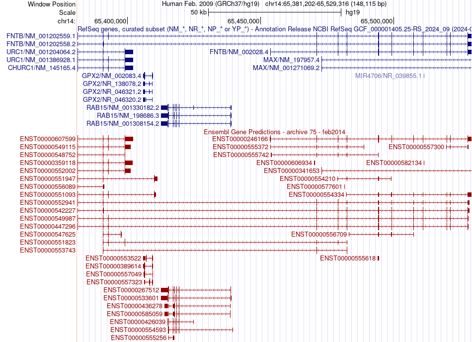 gene isoform structure of FNTB