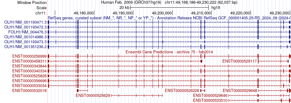 gene isoform structure of FOLH1