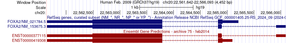 gene isoform structure of FOXA2