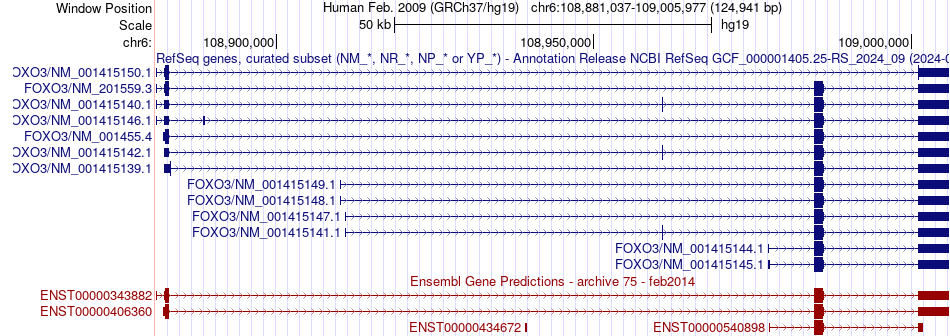 gene isoform structure of FOXO3