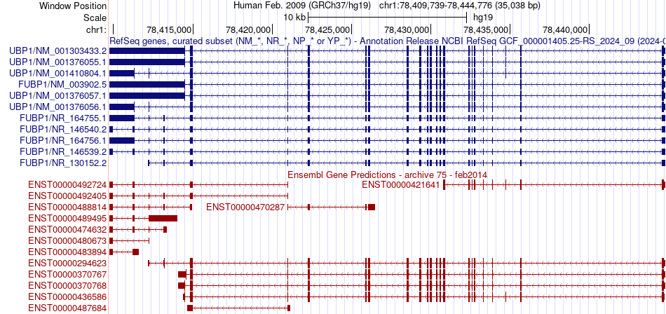gene isoform structure of FUBP1