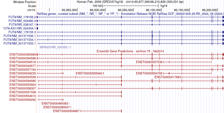 gene isoform structure of FUT8