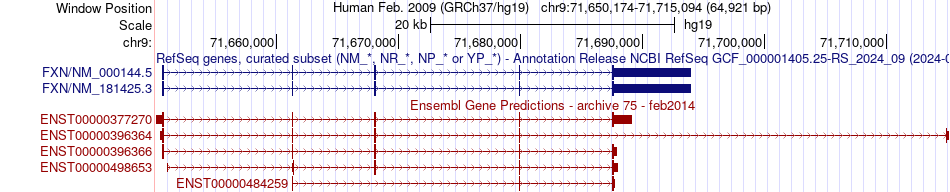gene isoform structure of FXN