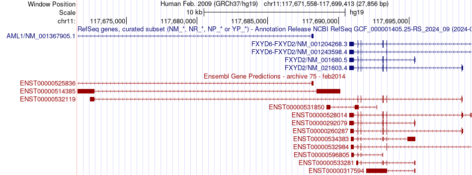 gene isoform structure of FXYD2