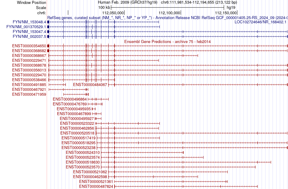 gene isoform structure of FYN