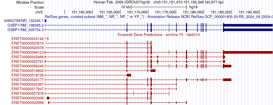 gene isoform structure of G3BP1