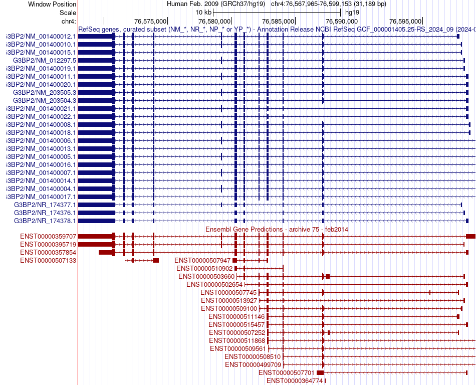gene isoform structure of G3BP2