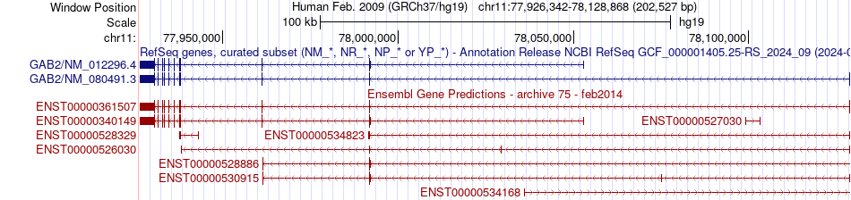 gene isoform structure of GAB2
