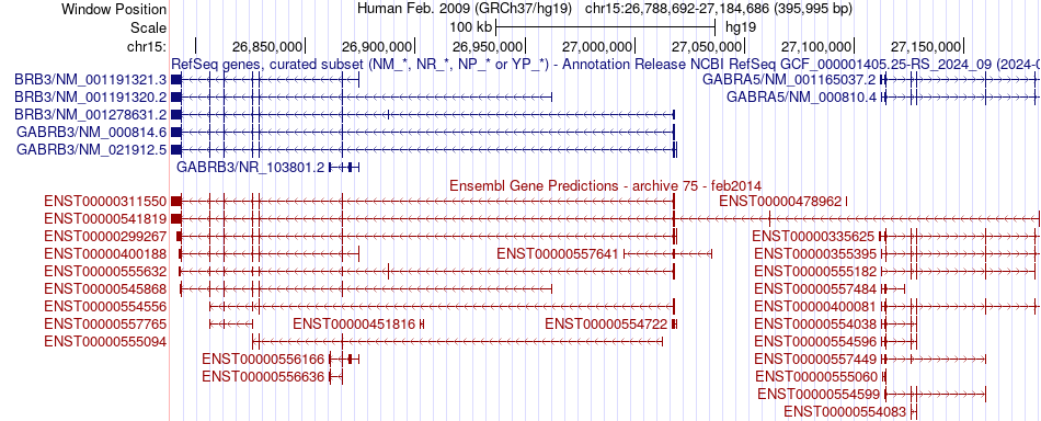 gene isoform structure of GABRB3