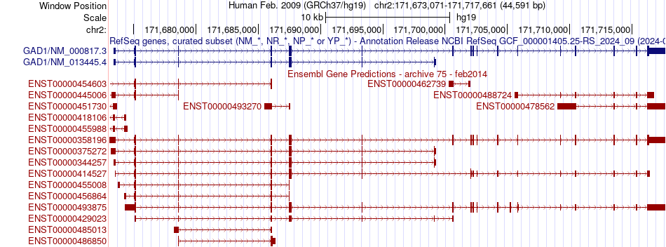 gene isoform structure of GAD1