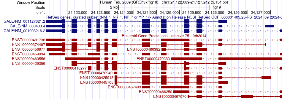 gene isoform structure of GALE