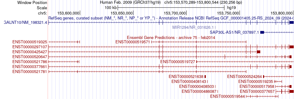 gene isoform structure of GALNT10
