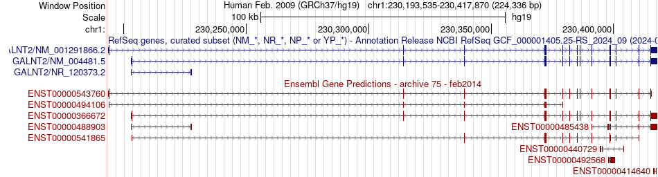gene isoform structure of GALNT2
