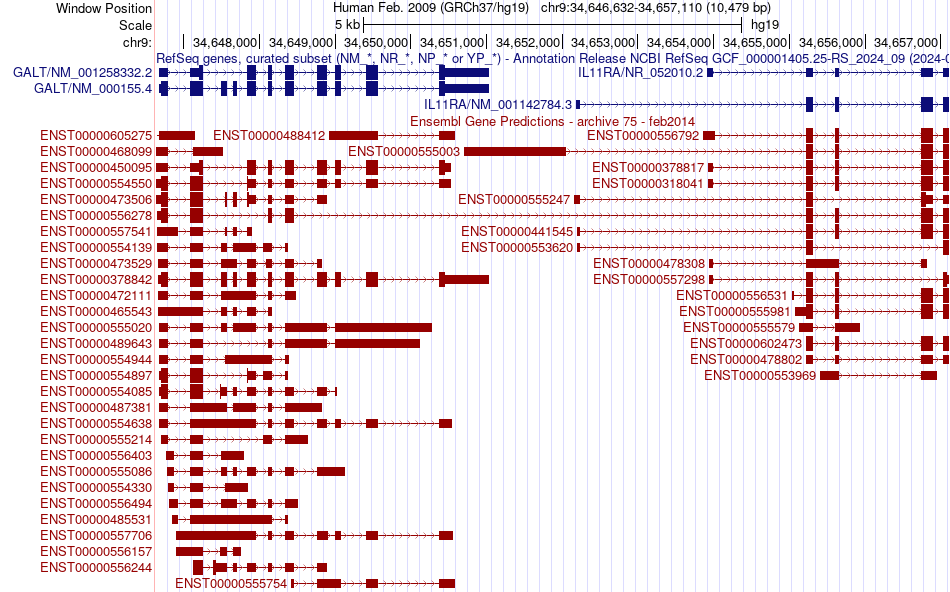 gene isoform structure of GALT