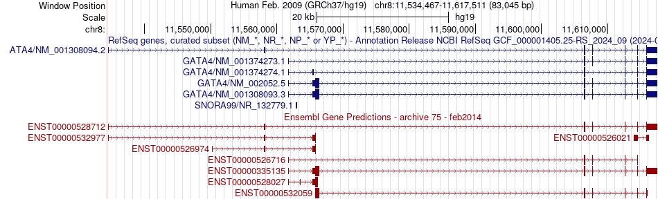 gene isoform structure of GATA4