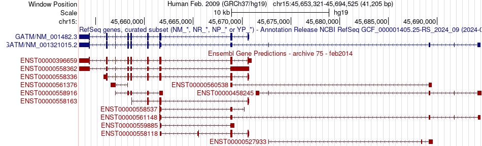 gene isoform structure of GATM