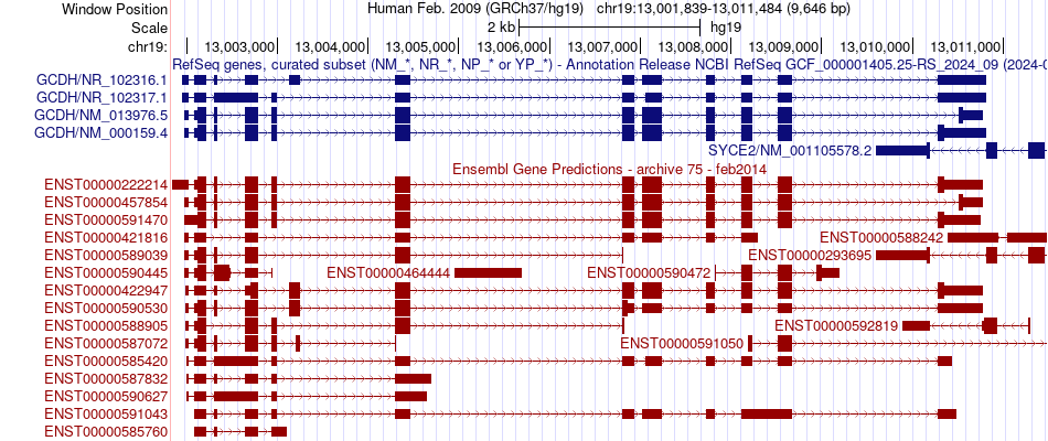 gene isoform structure of GCDH