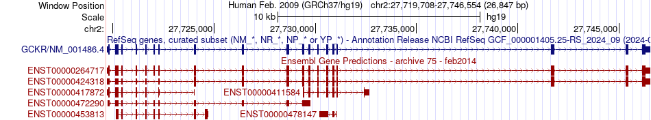 gene isoform structure of GCKR