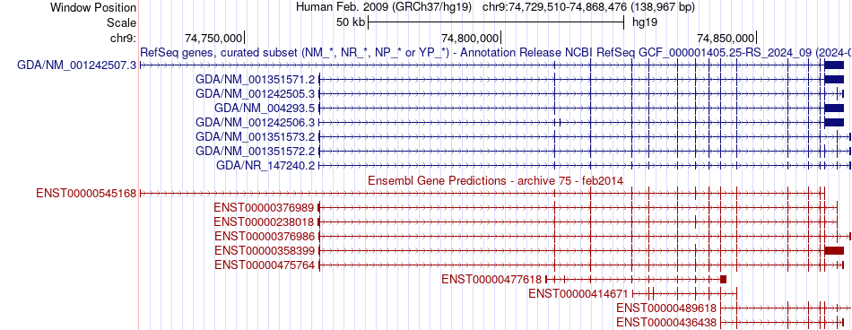 gene isoform structure of GDA