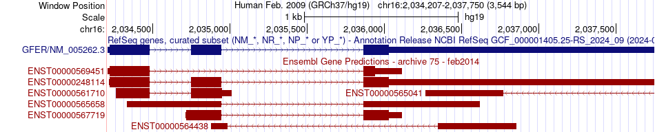 gene isoform structure of GFER