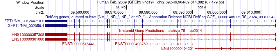gene isoform structure of GFPT1