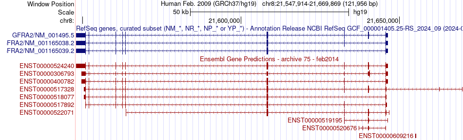 gene isoform structure of GFRA2