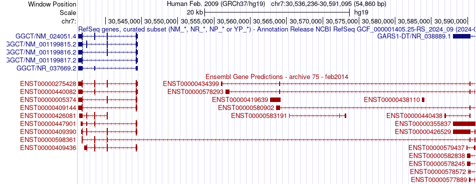 gene isoform structure of GGCT