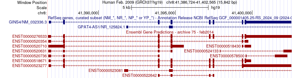 gene isoform structure of GINS4