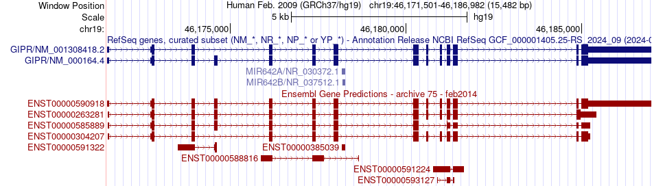 gene isoform structure of GIPR