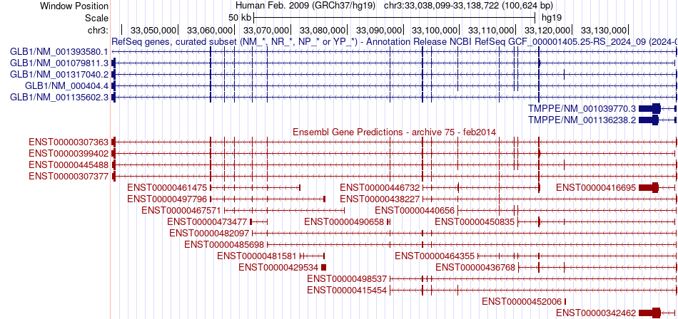 gene isoform structure of GLB1