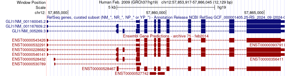 gene isoform structure of GLI1