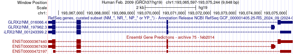 gene isoform structure of GLRX2