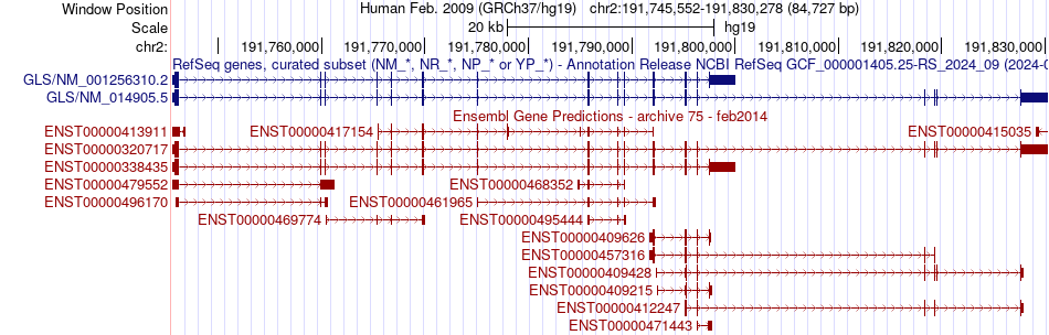 gene isoform structure of GLS