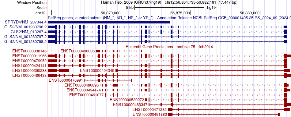 gene isoform structure of GLS2