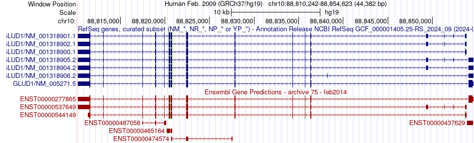 gene isoform structure of GLUD1