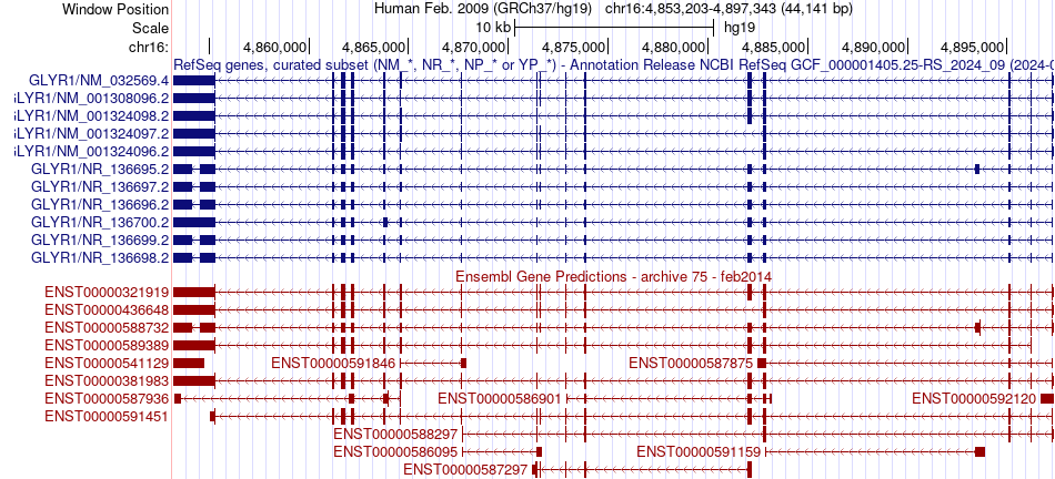 gene isoform structure of GLYR1
