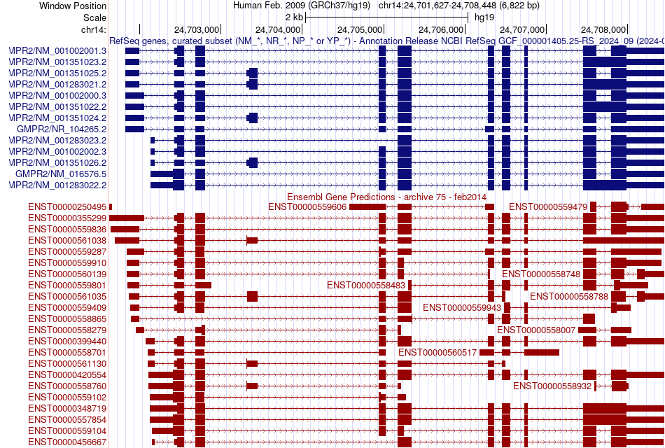 gene isoform structure of GMPR2