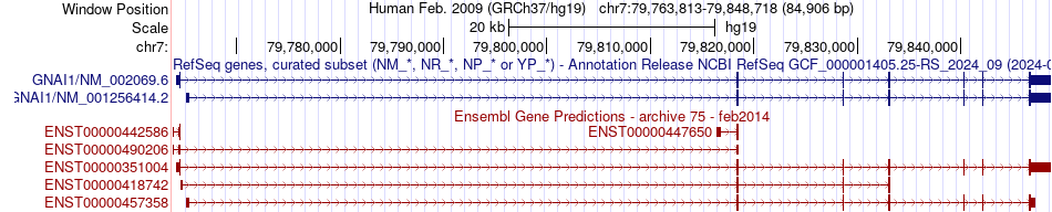 gene isoform structure of GNAI1