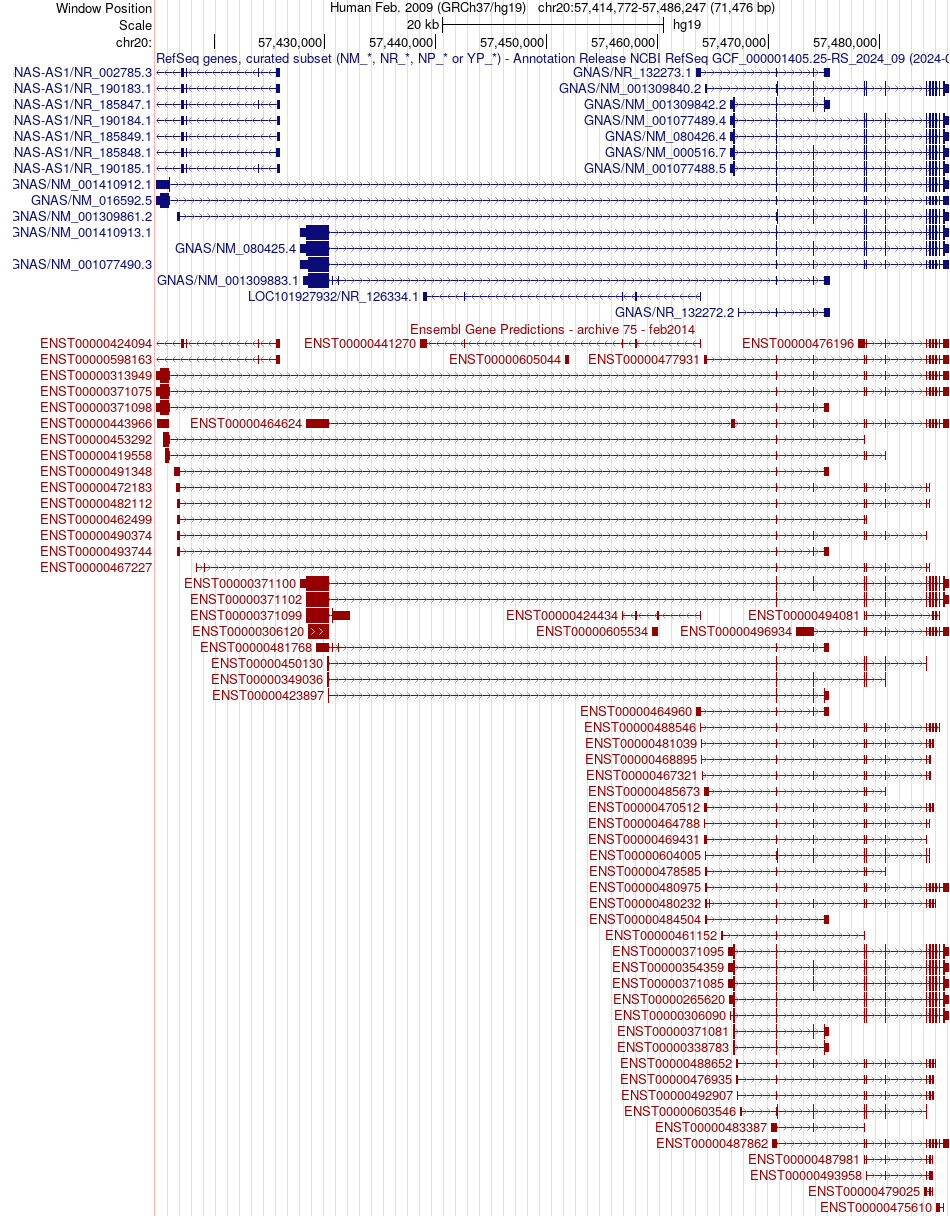 gene isoform structure of GNAS