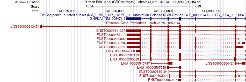 gene isoform structure of GNPDA1
