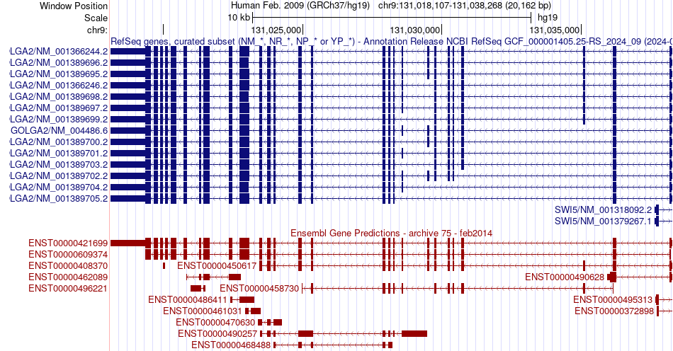 gene isoform structure of GOLGA2