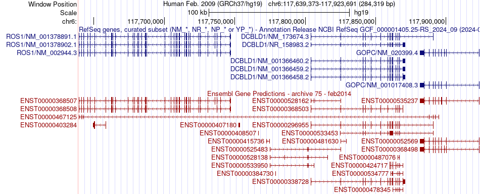 gene isoform structure of GOPC