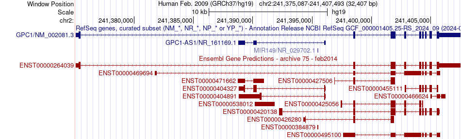 gene isoform structure of GPC1
