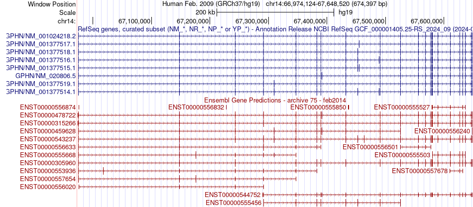 gene isoform structure of GPHN