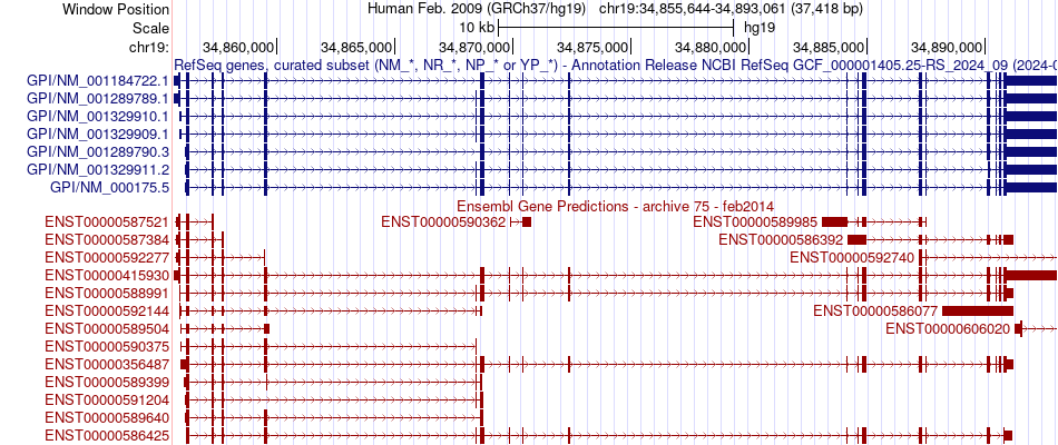gene isoform structure of GPI