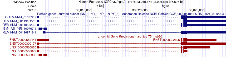 gene isoform structure of GREM1